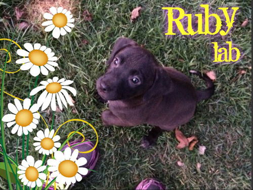 Ruby