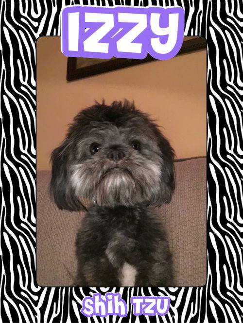 Izzy