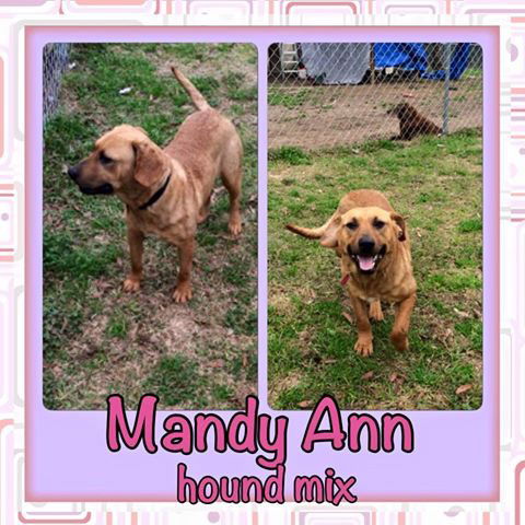 Mandy Ann