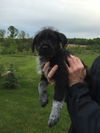 Buster