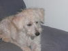 Chloe 