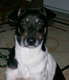 Trixie