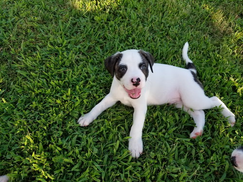 Buster