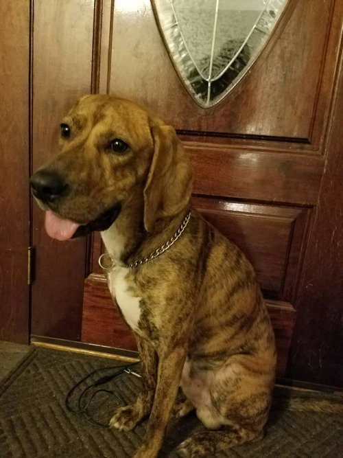 Cooper