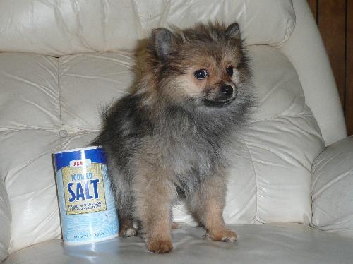 Tiny