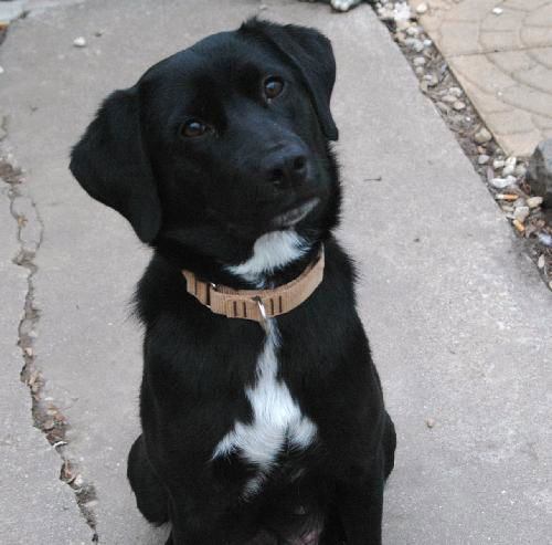 Maggie