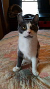 Fred