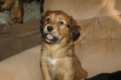 Buster
