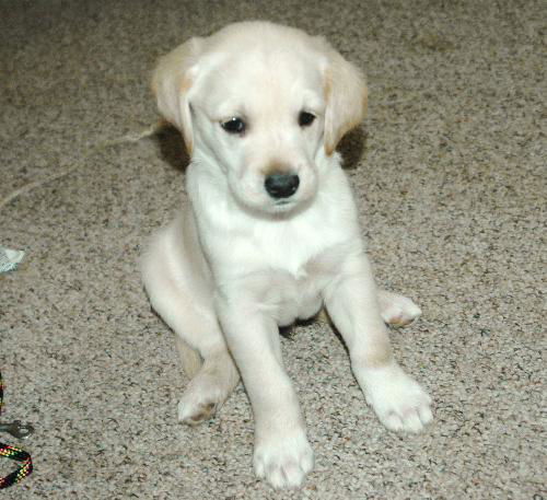 Jack 