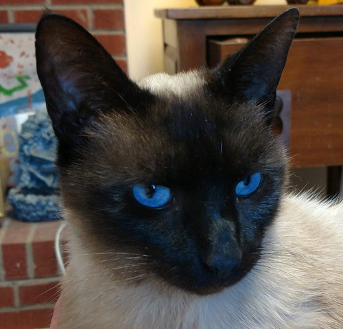 Benson