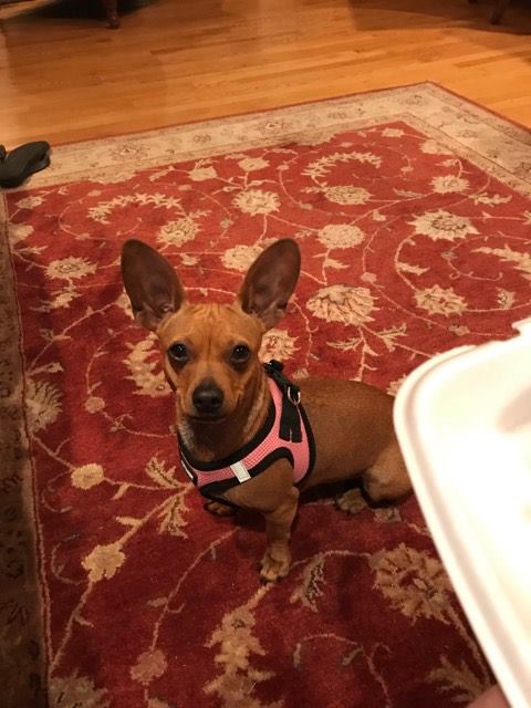 Minnie