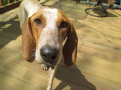Molly Brown