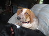 Molly Brown
