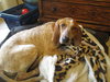 Molly Brown