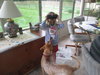 Molly Brown