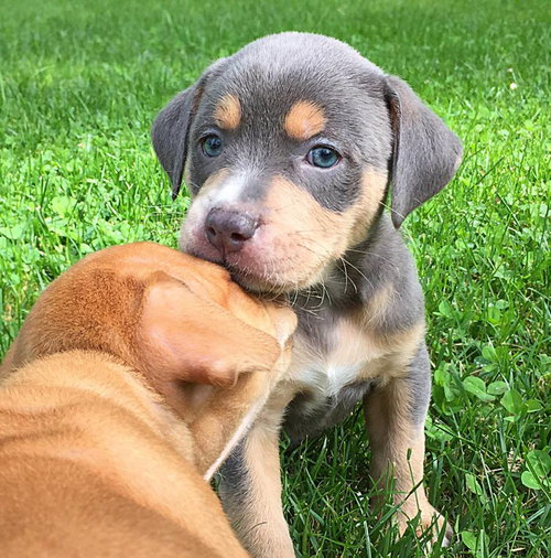 Fiona