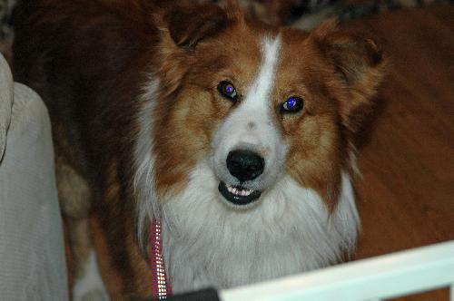 Murphy 
