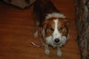 Murphy 