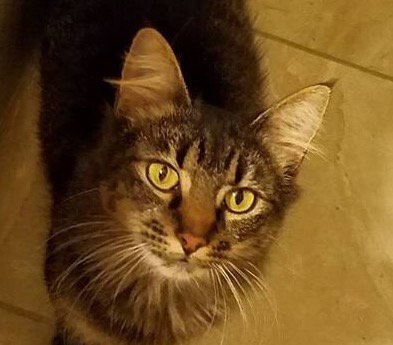 Sophie