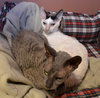 Spottie and Charlie