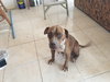 Lucy