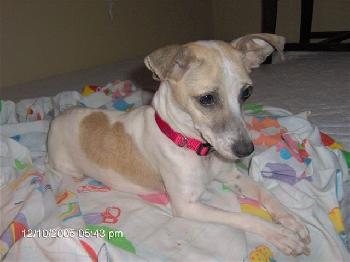 Hope (ph) adoption pending