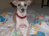 Hope (ph) adoption pending
