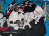 Hope (ph) adoption pending