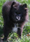 Marley