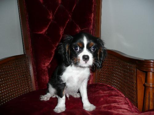 Harry