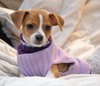 Bonnie