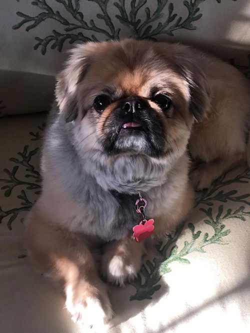 Chloe