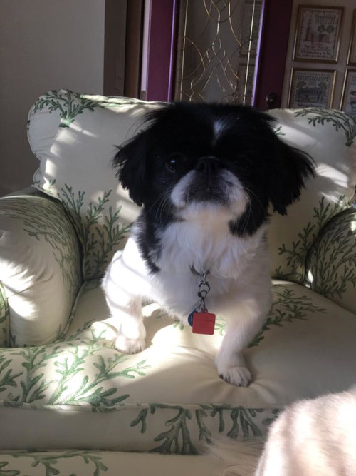 Max