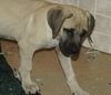 Murdock
