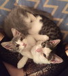 Levi & Eli