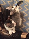 Levi & Eli