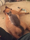 Levi & Eli