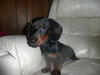 Hans
