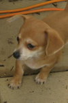 Fiona