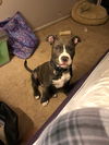 Big Boy