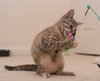 Piper - LOVES KIDS!