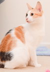 Sunny