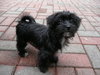 Shirley