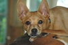 Charlie