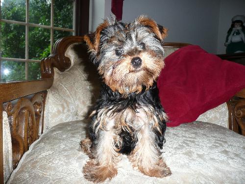 Lucy