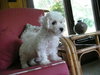 Mike