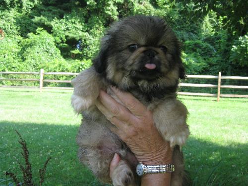 Grant - Adoption Pending