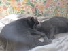 Joe & Sophie