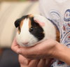 Gunther