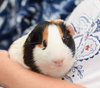 Gunther